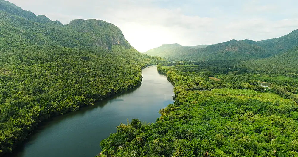 Aerial view of a green river valley surrounded by tropical forest