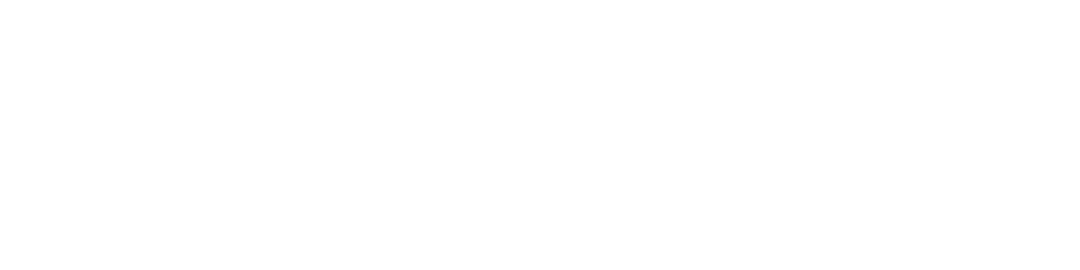 Meccaniche Pellanda